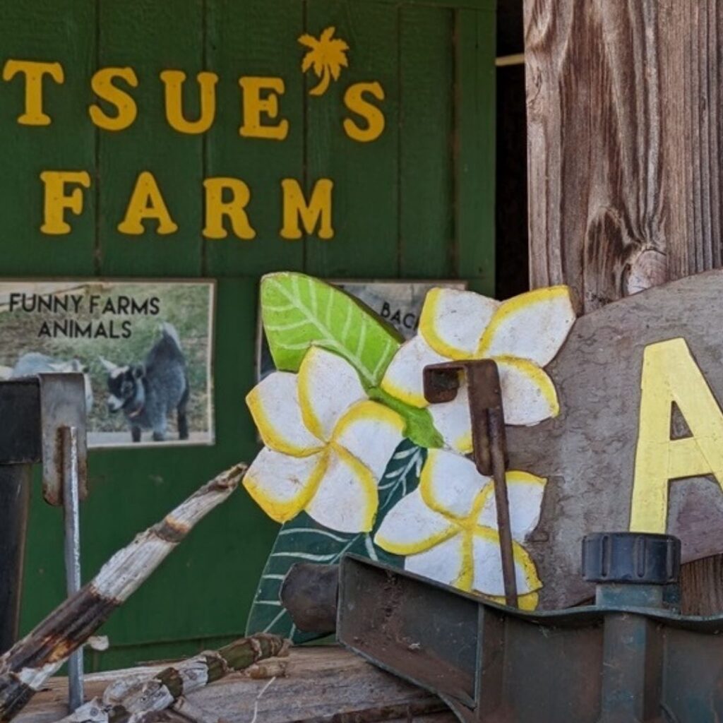 54