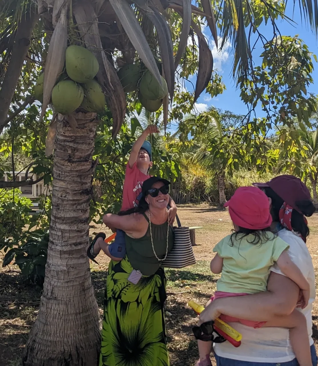 Scenic Anahulu River and tropical countryside at Tsue's Farm Haleiwa